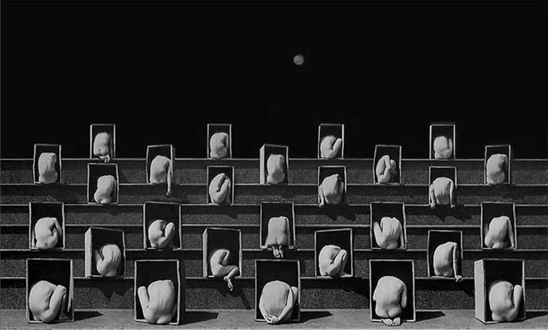 Aullidos de la calle - Misha Gordi