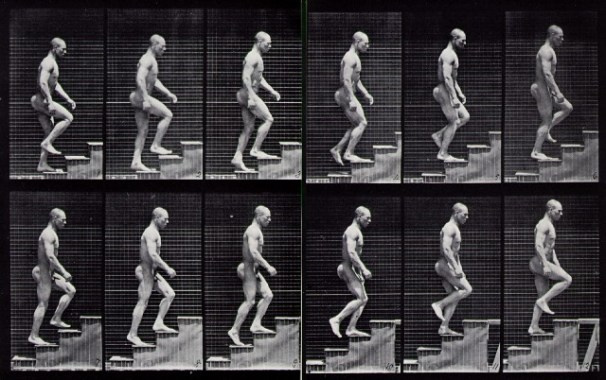 Escaleras - Muybridge