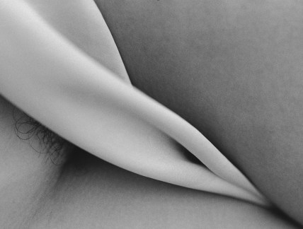 Tientos 7 - Rafael Navarro 