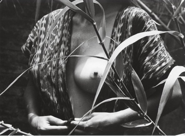 Venus. Fruta prohibida - Manuel Alvarez Bravo 