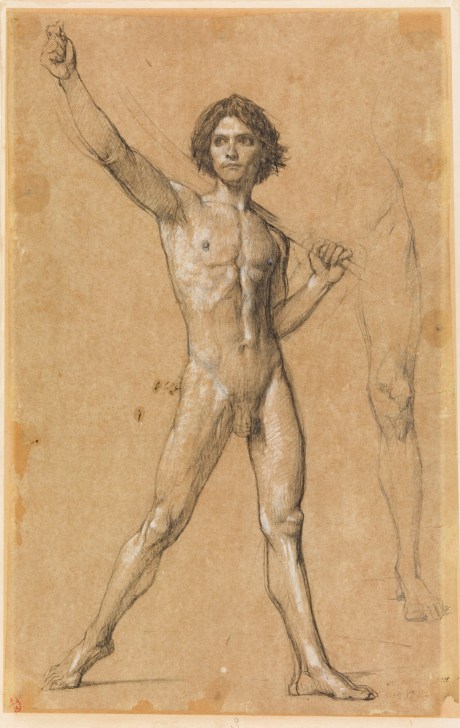 estudio preliminar para David triunfante .jpg