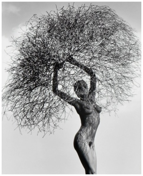 herb-ritts-neithwithtumbleweed.jpg