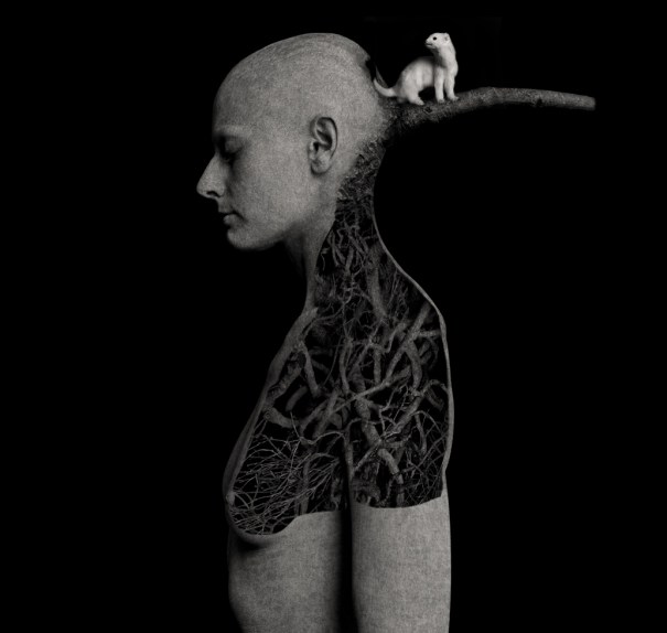 1_la carezza di Bruges.jpg