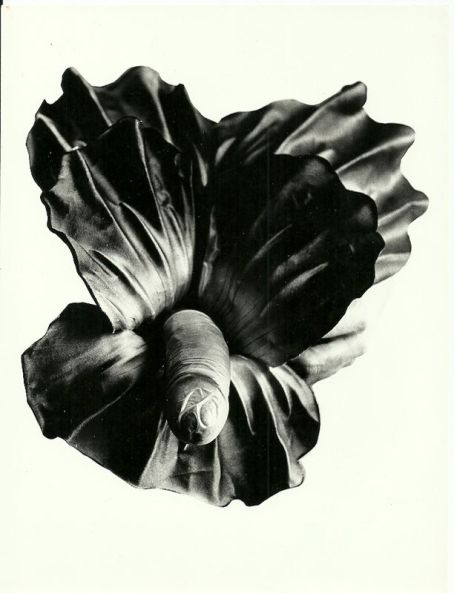 hidalgo_photo2_0001_00b84530fd