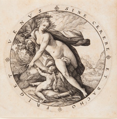 Venus y Cupido.jpg
