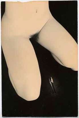 08222c632ea8e3b441f624b6a0633881