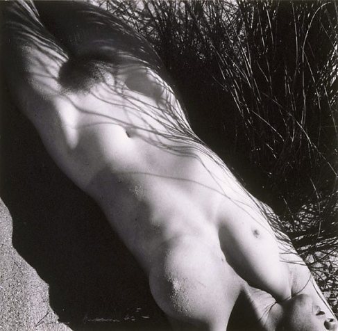 nude in grass 1939.jpg