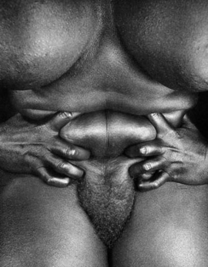 hermann-fc3b6rsterling-3-fujocka