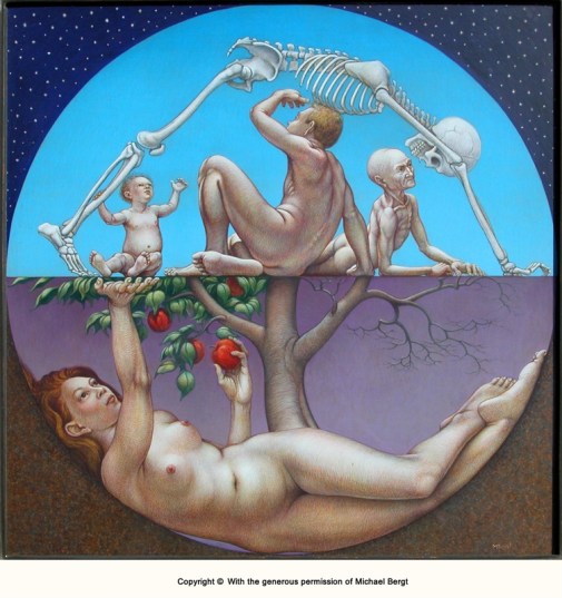 Human life Cycle.jpg