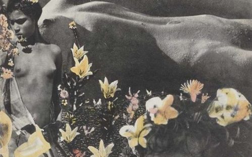 53018a2c9fc87ca2c7aa0e0fc22476aa_orig1-624x6001-624x600-mqinw6ou5ptuctw4rygwzouuk3njz544oqs2dlim8k