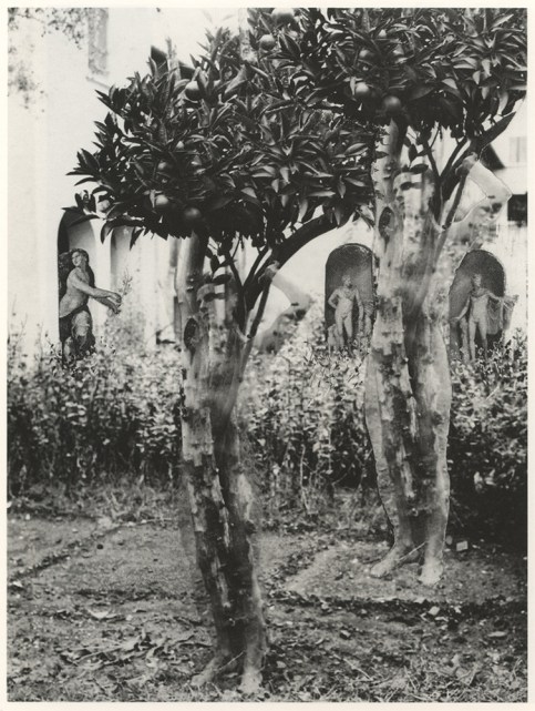 Gregorio Prieto+Eduardo Chicharro Briones+Metamorfosi (c. 1928–1930)